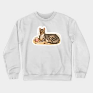 Tabby looking like a wild cat Crewneck Sweatshirt